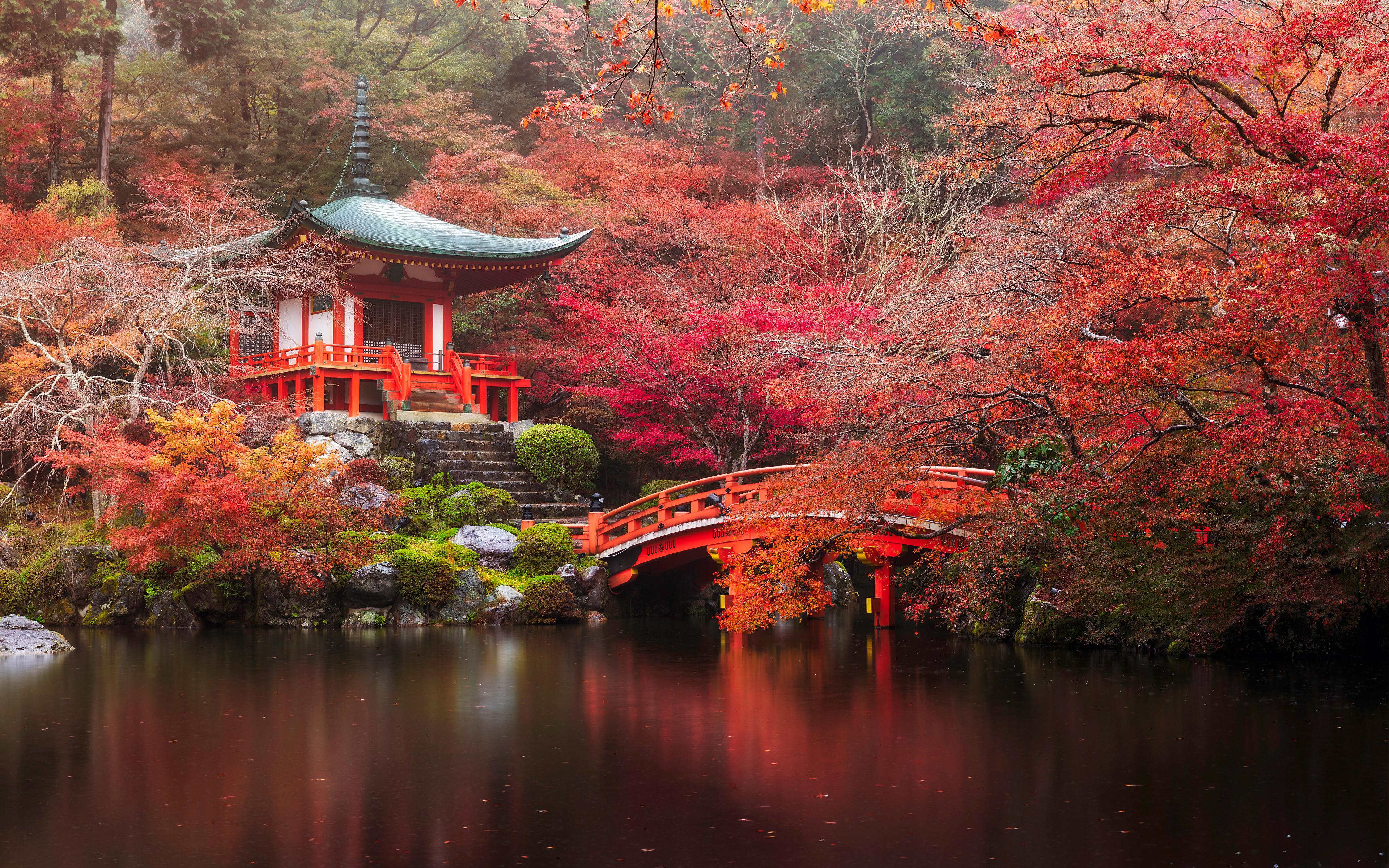 Autumn travel scene in Japan during a quieter season