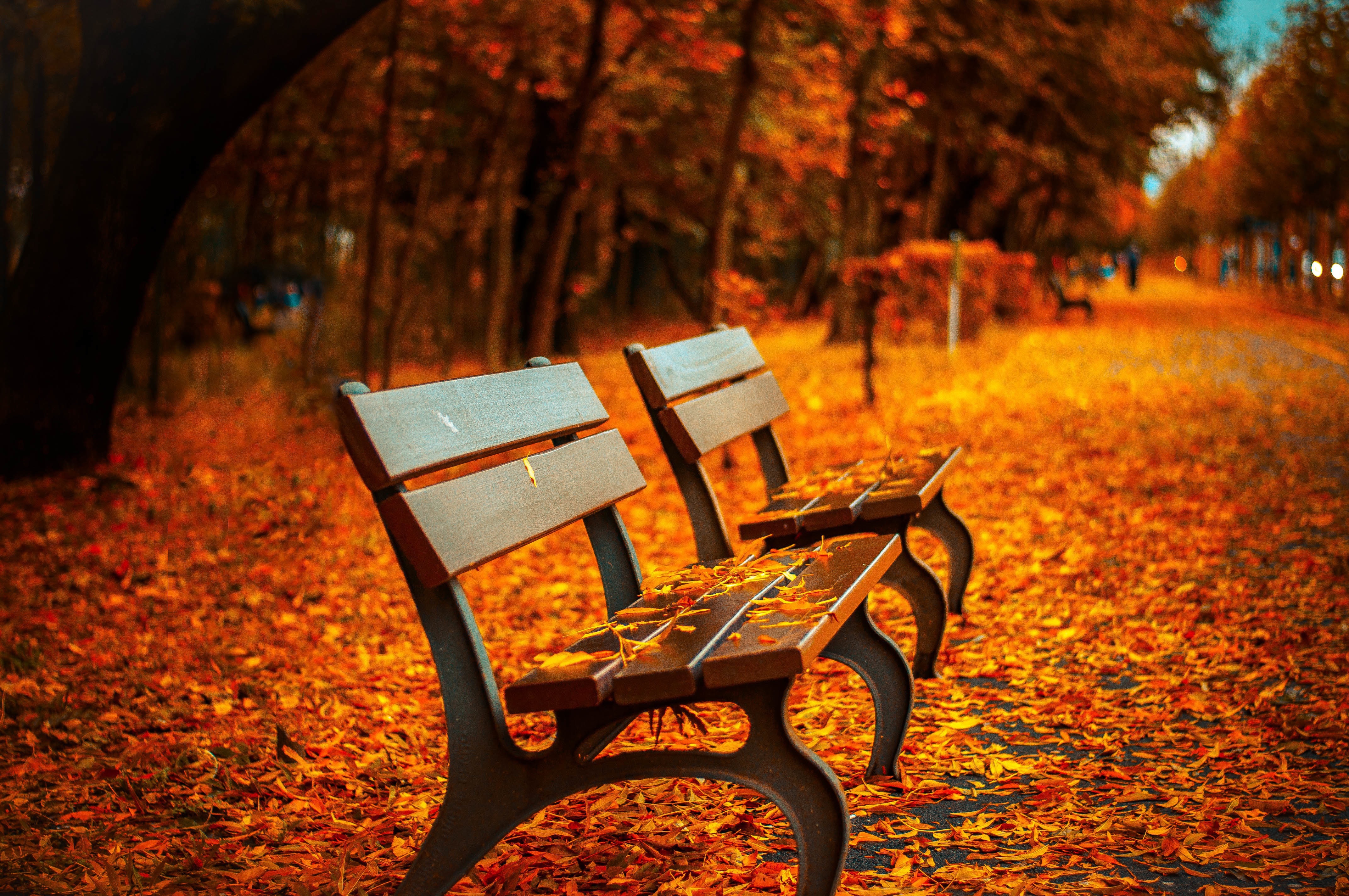 Best Shoulder-Season Destinations for Better Weather, Value and Fewer Crowds